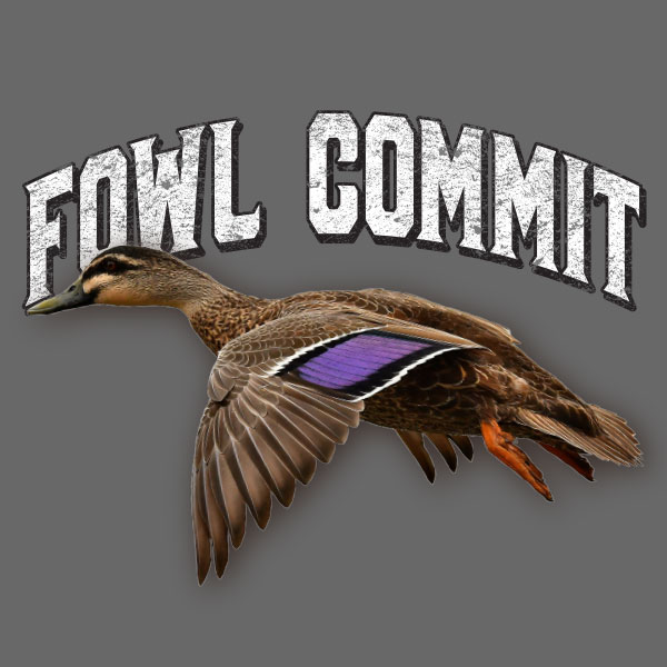 The Daffy - Fowl Commit